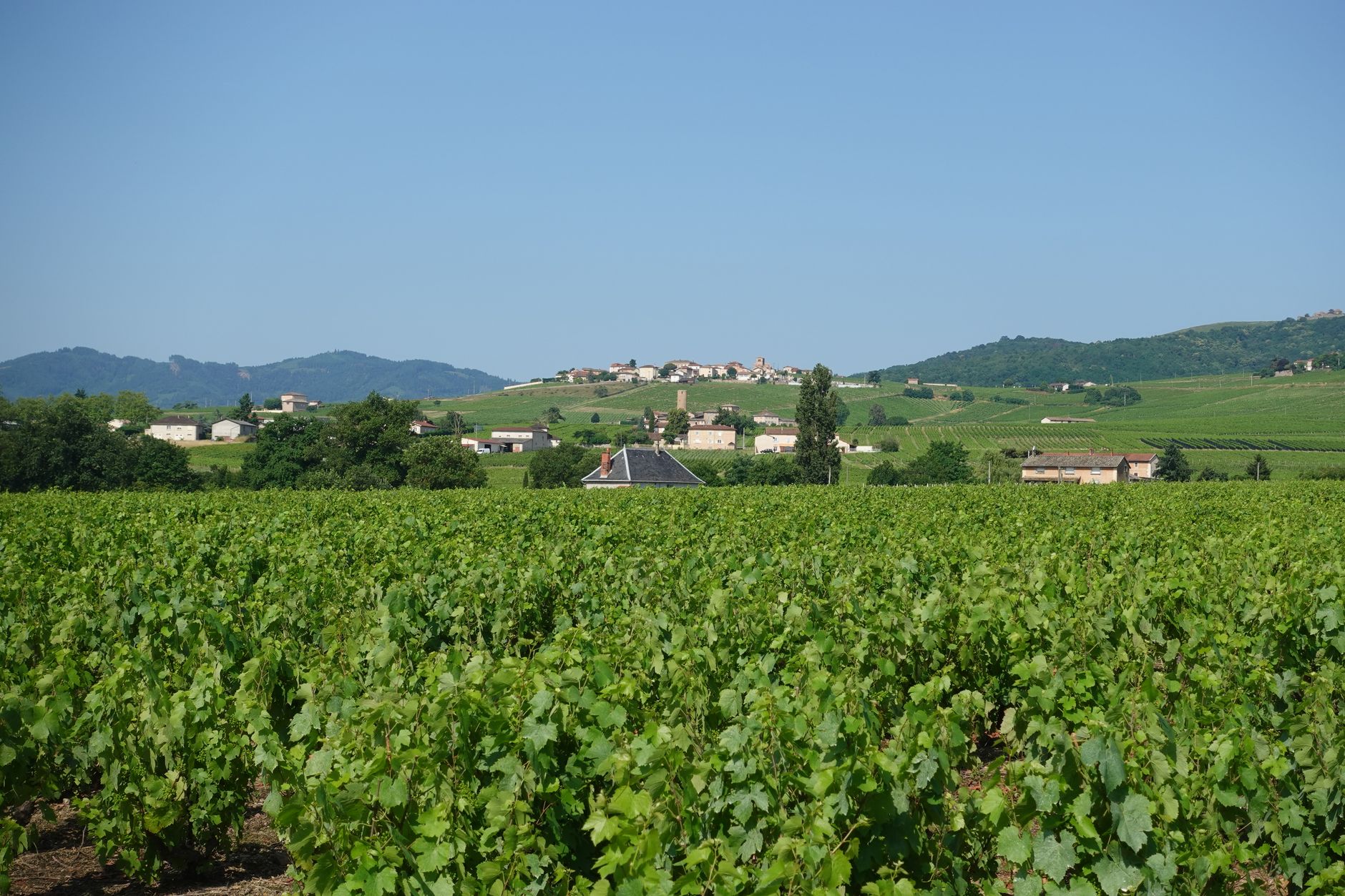 Paysage d'exception en France